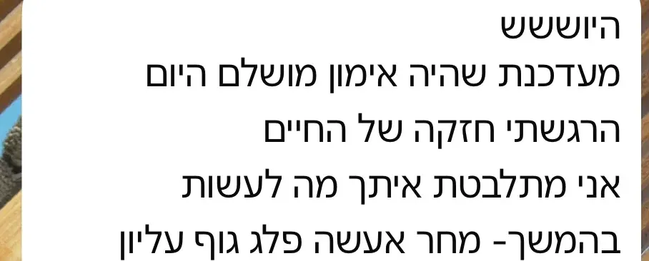 הודעה ממתאמנת: היה אימון מושלם